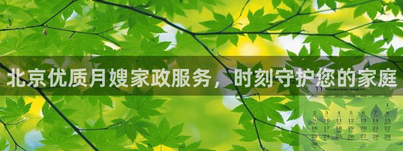 杏悦1招商地址