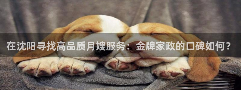 杏悦平台代理怎么样赚钱