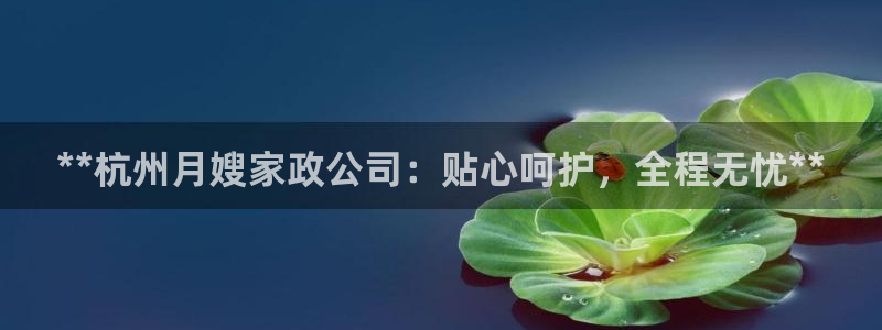 杏悦t首选推荐平台