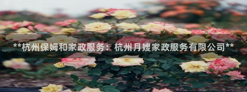 杏悦平台代理怎么样