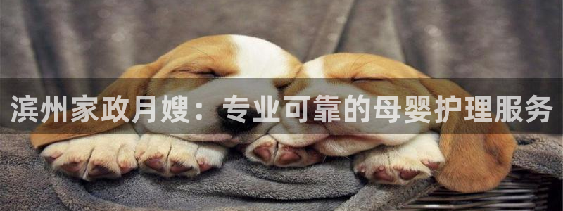 杏悦平台可靠吗可信吗安全吗