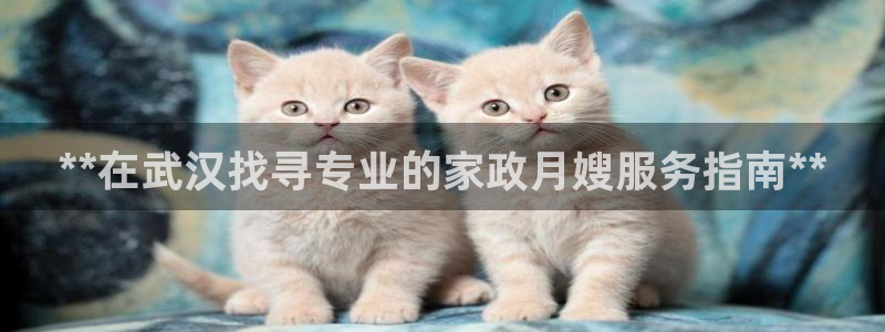 杏悦平台开户地址是什么