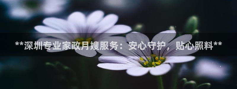 杏悦是什么平台