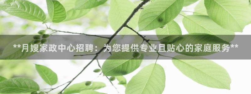 杏悦平台代理怎么样