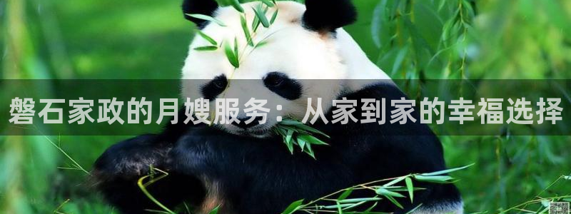 杏悦官网