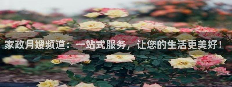 杏悦官网客服
