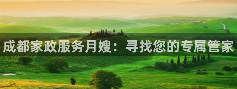杏悦平台代理怎么样赚钱