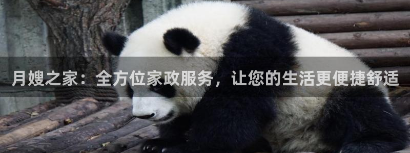 杏悦平台代理怎么样