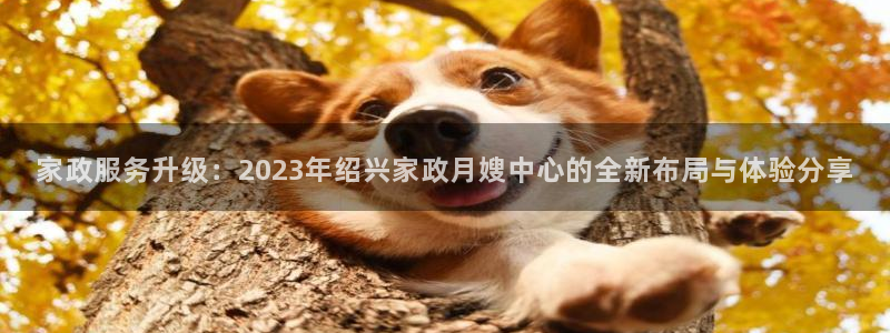 杏悦登入