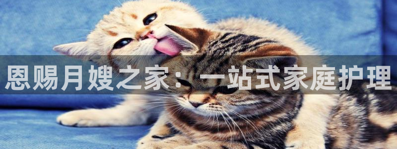 杏悦 -首选推荐平台
