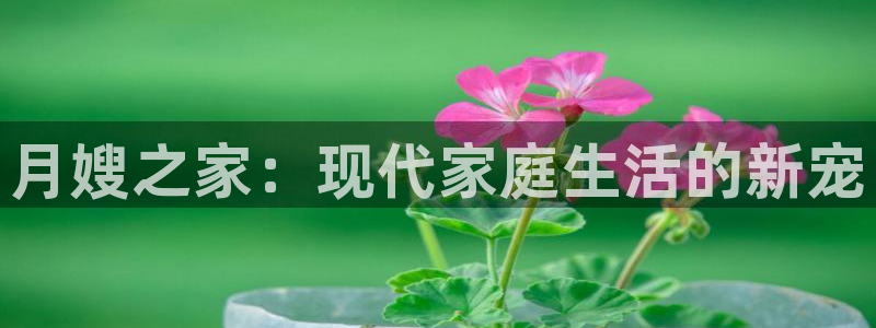 杏悦平台代理怎么样赚钱