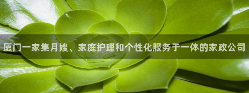 杏悦平台代理怎么样赚钱
