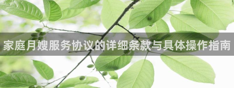 杏悦官方平台是正品吗