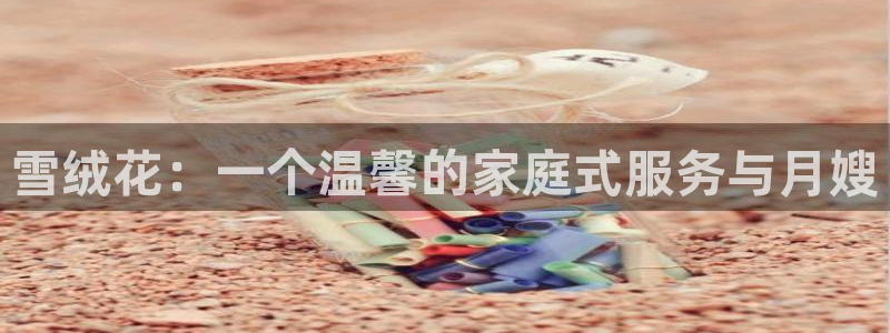 杏悦平台代理怎么做