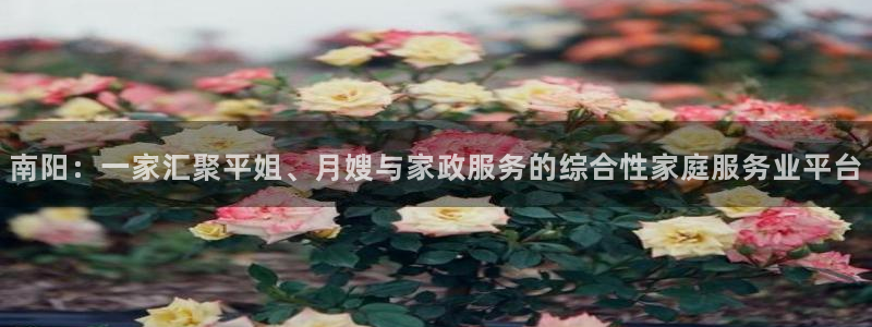 杏悦平台代理怎么样