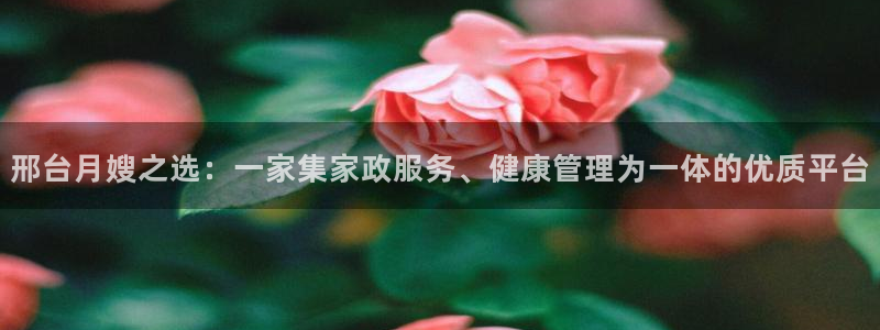 杏悦平台代理怎么赚钱