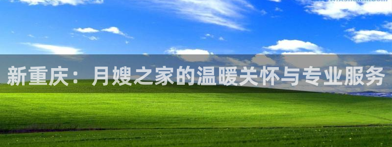 杏悦平台代理怎么赚钱的