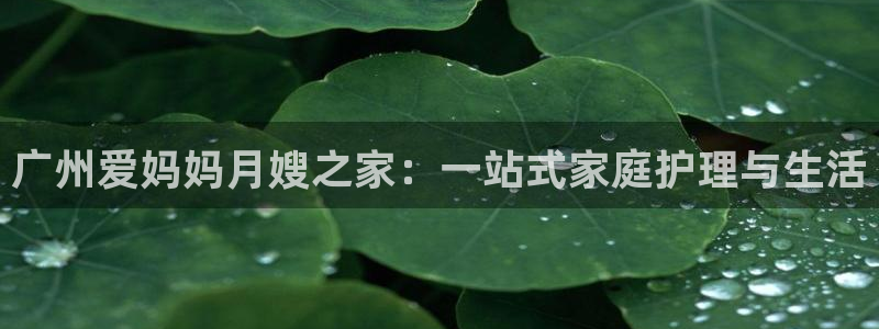 杏悦官方平台官网首页