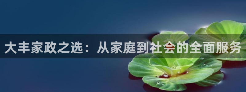 杏悦平台代理怎么样