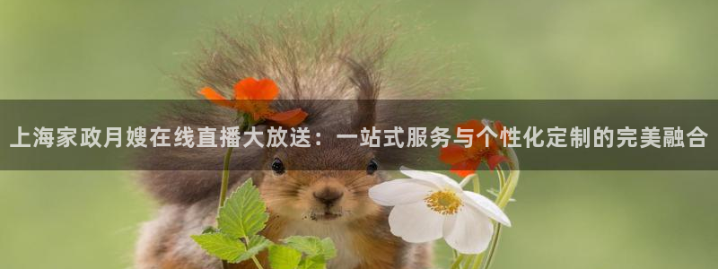 杏悦平台地址