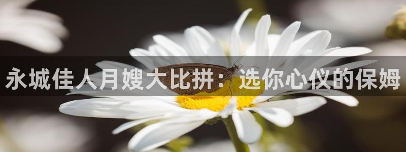 杏悦平台可靠吗可信吗