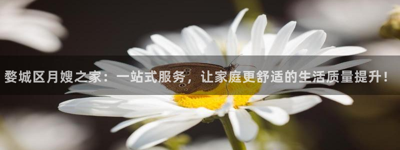 杏悦平台如何