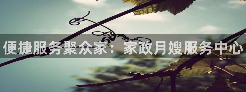 杏悦平台招商怎么样