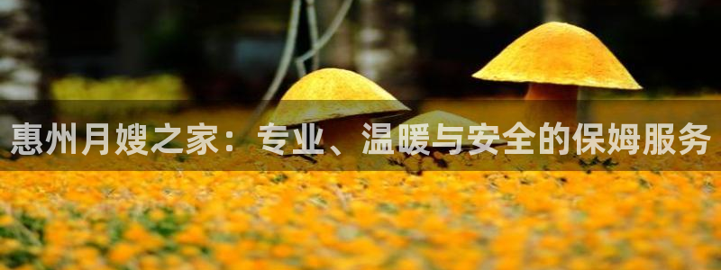杏悦平台代理怎么样可靠吗