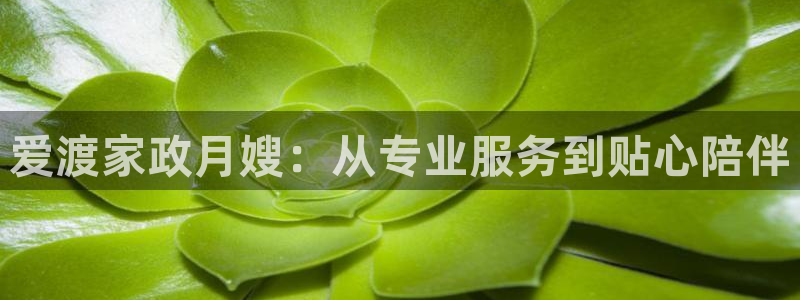 杏悦平台可靠吗可信吗是真的吗