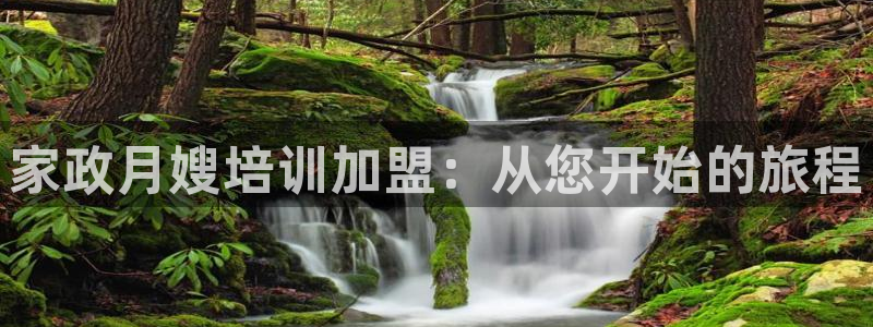 杏悦招商地址