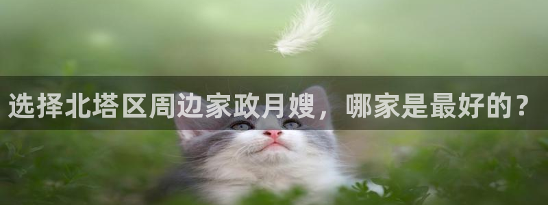 杏悦平台登陆