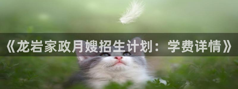 杏悦主管