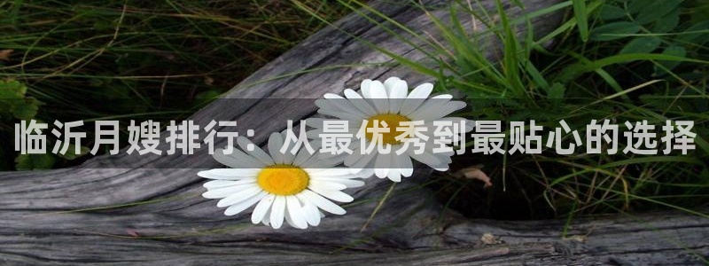 杏悦招商地址