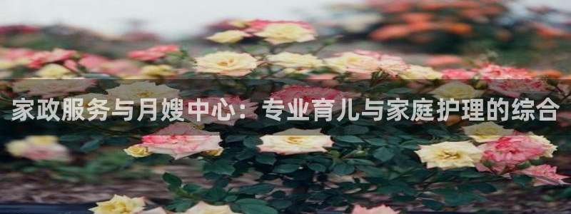 杏悦平台开户地址是什么