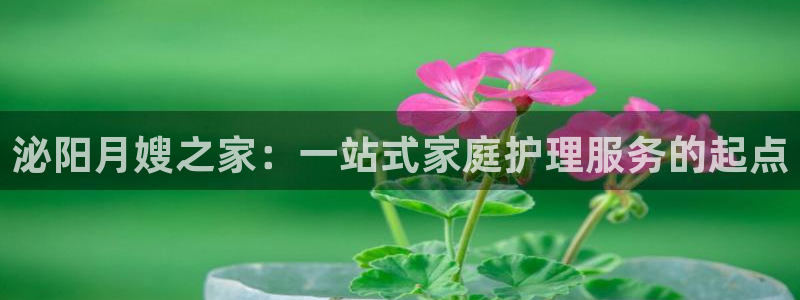 杏悦官网注册信息在哪里看