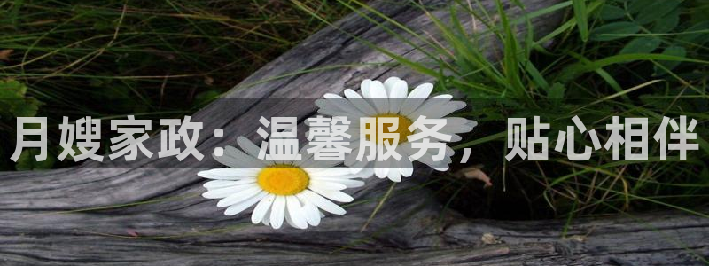 杏悦平台代理怎么赚钱的