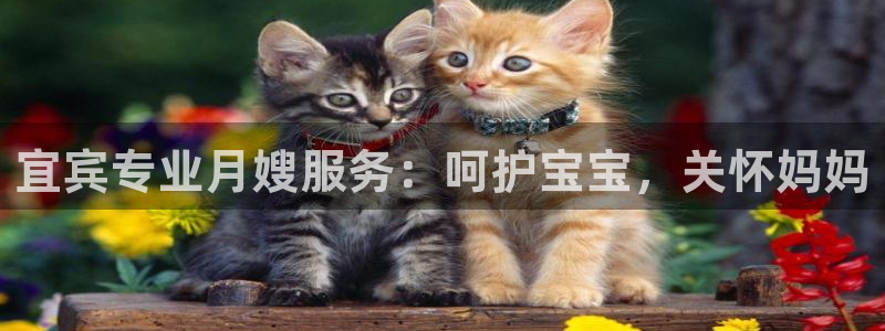 杏悦平台注册网址