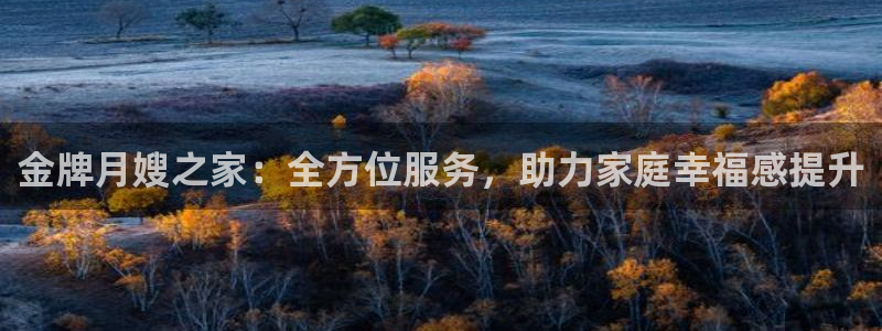 杏悦平台代理怎么样