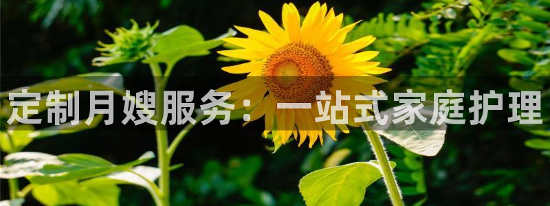 杏悦平台代理怎么做的