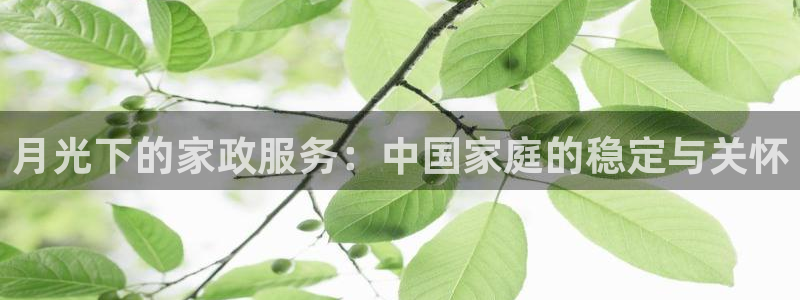 杏悦官网登录入口网址是多少