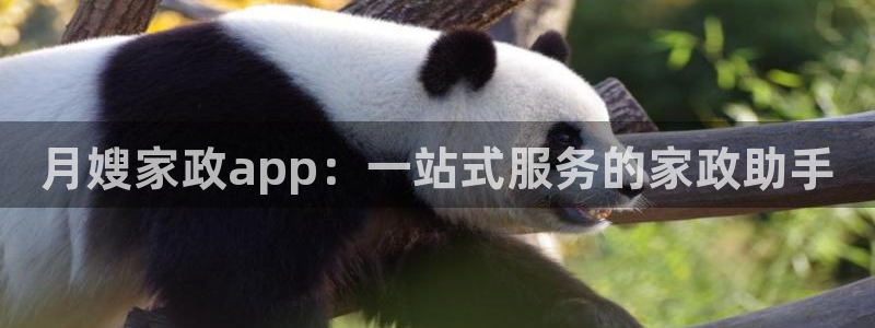 杏悦平台代理注册