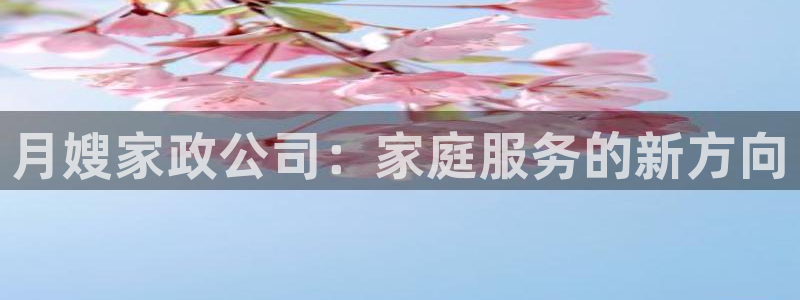 杏悦娱乐怎么玩