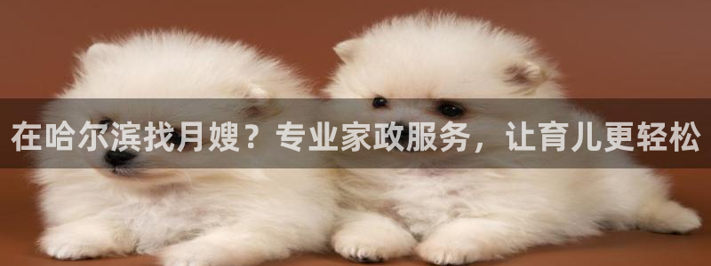 杏悦娱乐注册平台有哪些