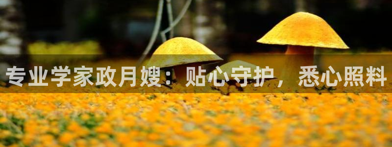 杏悦平台注册要钱吗