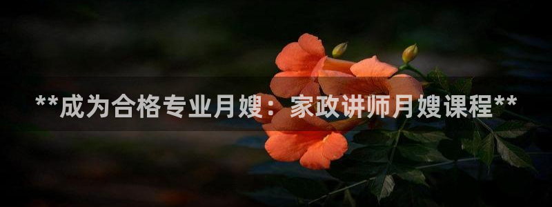 杏悦官网注册信息在哪里找