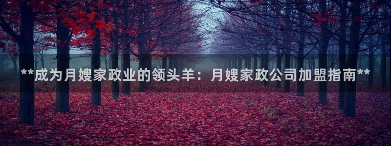 杏悦平台如何注册账号