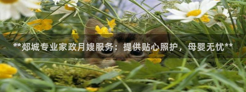 杏悦平台登录入口官网