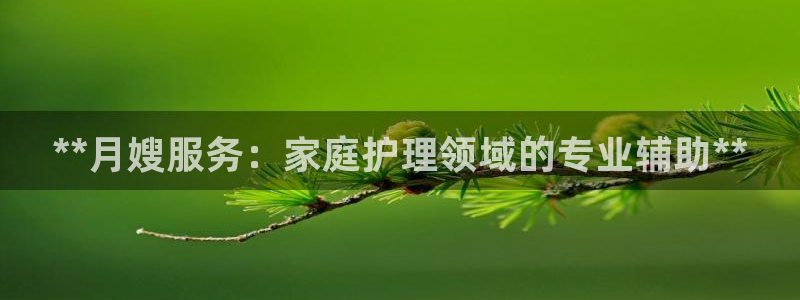 杏悦平台登录入口官网