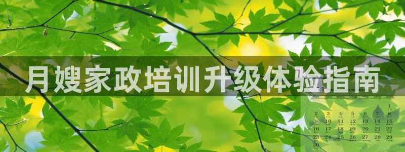 杏悦平台登录网址查询