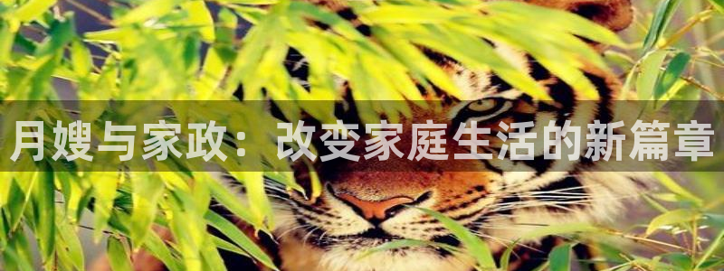 杏悦娱乐注册平台怎么样